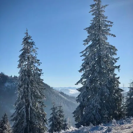 будинок в пейзажній місцевості Krivorovnya