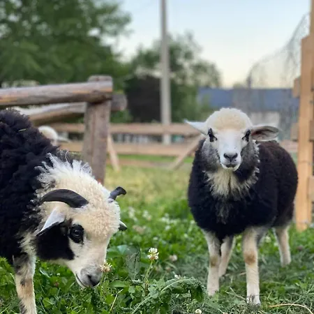 будинок в пейзажній місцевості בית נופש Krivorovnya