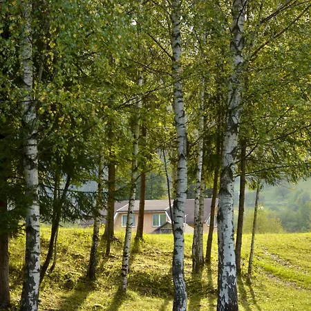 будинок в пейзажній місцевості * Krivorovnya